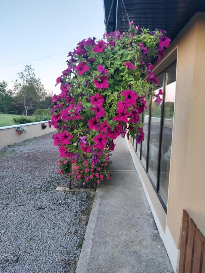Bed & Breakfast Ard Aoibhinn Roscommon Lecarrow
