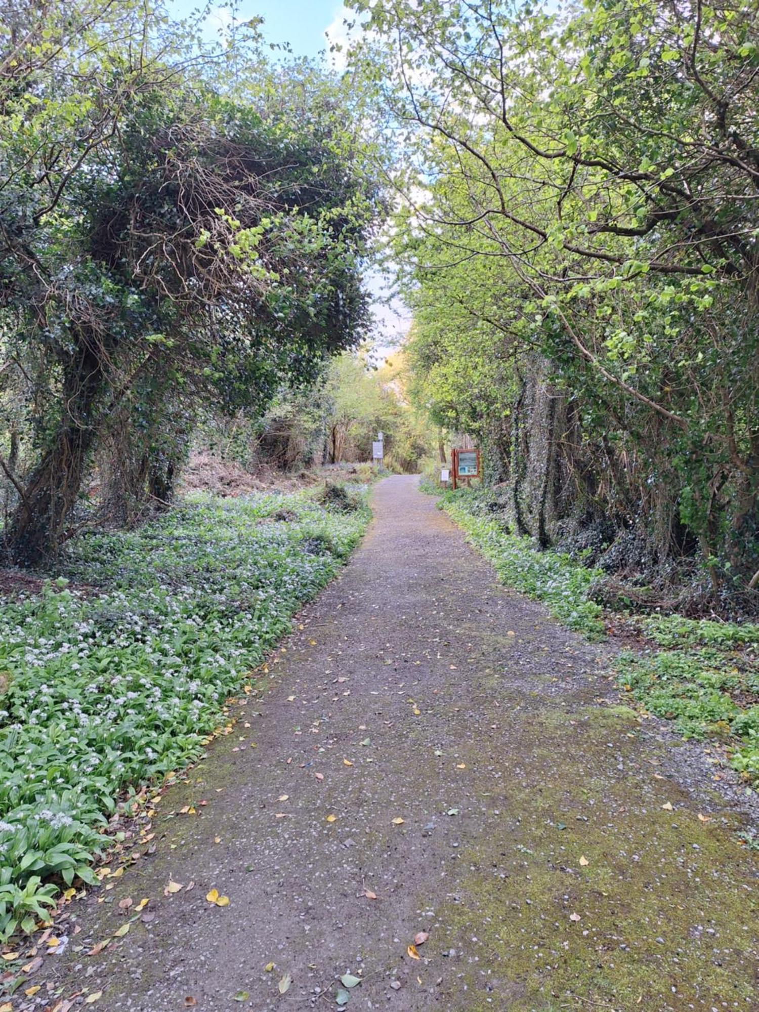 Bed & Breakfast Ard Aoibhinn Roscommon 3*